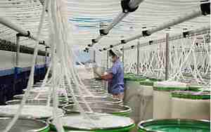 丝绸公司的名字