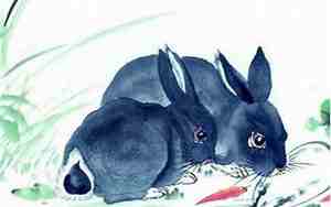 99年的兔是什么命