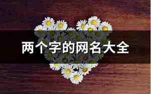 两个字的网名大全起名大全