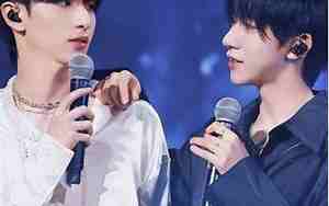 刘耀文粉丝取名