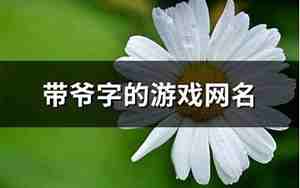 关于带爷字的网名