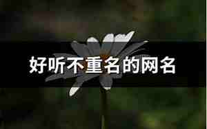 不重名的网名霸气