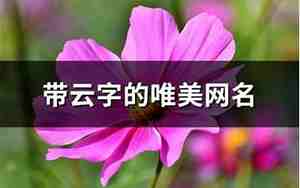 云的网名，带云字的网名唯美