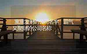取个发财的公司名字