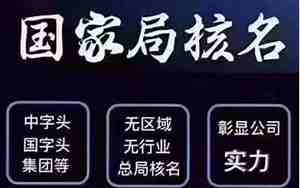 公司名称可以加字母吗