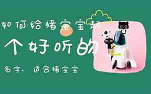 给猪宝宝取名哪些字最佳