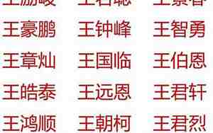 王姓女孩取名大全