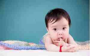 兔宝宝取名宜用字