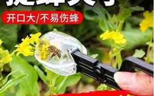 蜂具店铺起名字