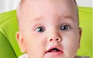 九月出生的虎宝宝命理