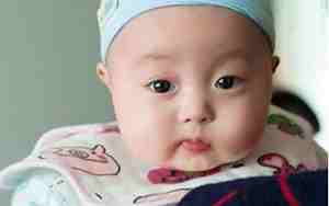 兔年好听的男孩名字