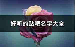 好听的贴吧id名字大全