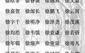 徐姓的名字有哪些好听的名字