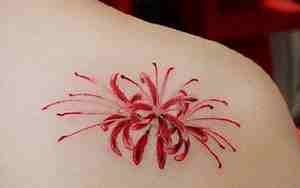 曼珠沙华网名带特殊符号