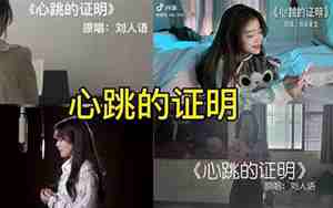 心跳的证明歌曲介绍