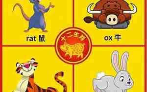 十二生肖英语排名