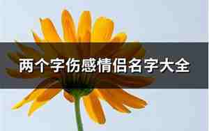 2个字伤感网名大全