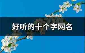 十个字的网名优雅好听