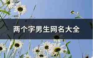 2个字网名男生，2个字网名男生网名大全