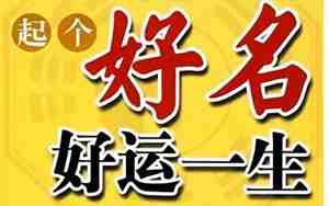 以物命名的网名