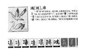 以鸿取名,鸿字取名有哪些寓意