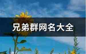 兄弟群昵称网名大全