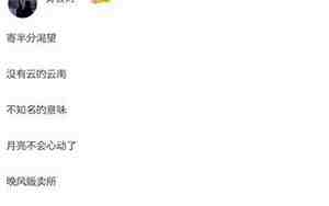 伤感网名俩个字女生