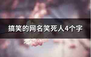 十二个字的网名最新