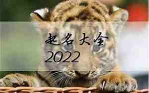 虎宝宝潮流名字男,虎宝宝的男孩名字是什么