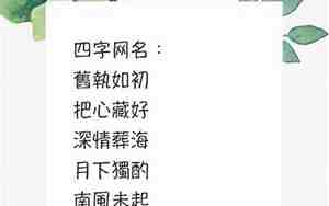 优雅4字网名