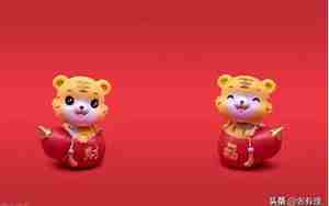 关于虎宝宝的小名