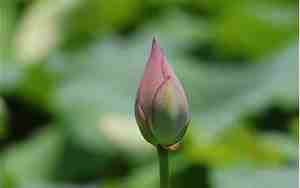 思念一个人的网名字