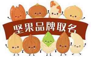 卖坚果叫什么名字比较好