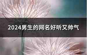 用生日起网名男生