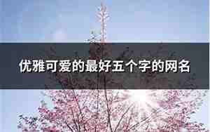 五字的网名大全