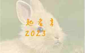 给姓苗的宝宝取名字