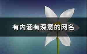 别有深意的昵称