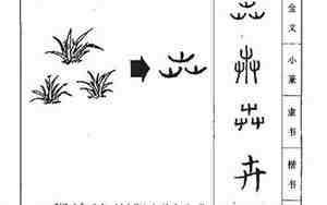 卉字取名,卉字取名好不好听