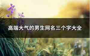大气的微信网名,大气的微信网名男生两个字