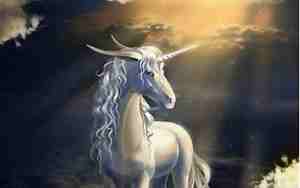 独角兽名字大全超拽霸气