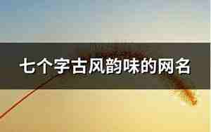 七个字古风韵味的网名