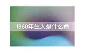 1960年是什么命