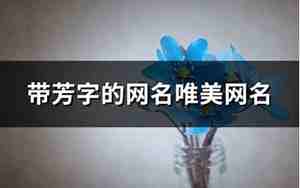 有关芳字的网名唯美