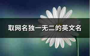 取网名,取网名独一无二的名字