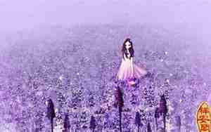 南风网名,南风网名好不好呢