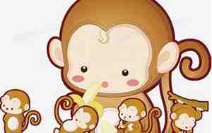 两个猴生个什么属什么的宝宝