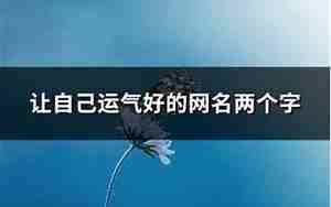 向往自由的网名，改个运气好的网名