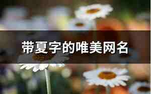 带有夏字的网名女生