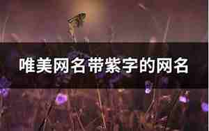 带“紫”的网名