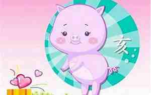 属猪的人生属狗的宝宝